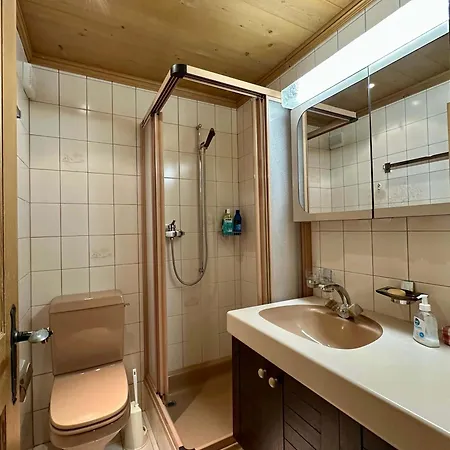 Fascinating Swiss Alps View Luxury Apartment Gstaad
